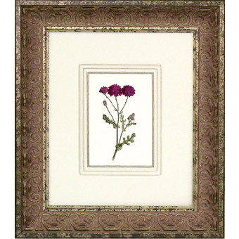 16455 PLATE 321 - 20X24