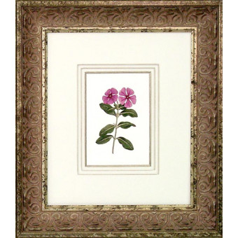 16460 PLATE 328 - 20X24