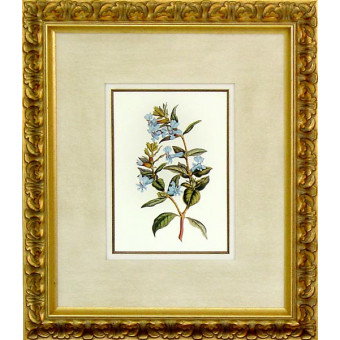 16469 XIV - 20X24