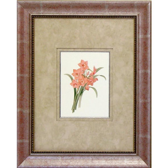 16473 CORAL PASSION I - 18X24