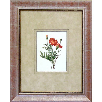 16475 CORAL PASSION III - 18X24