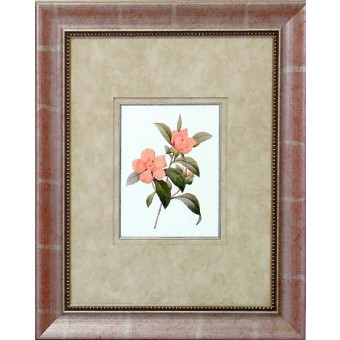 16476 CORAL PASSION IV - 18X24