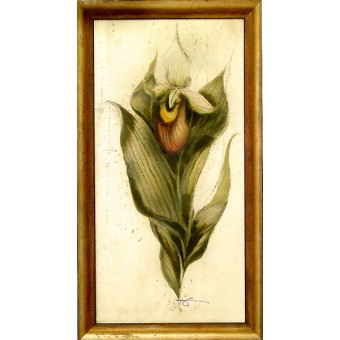 16582 MAJORCA II - 20X40
