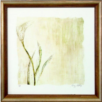 16598 MOSTLY II - 30X30