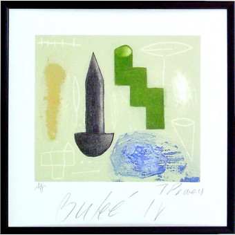 16736 BULEE IV - 24X24