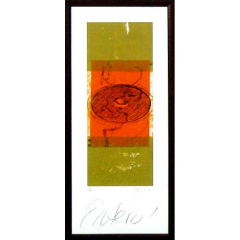 16743 ENTERO I - 12X28