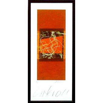 16744 ENTERO II - 12X28