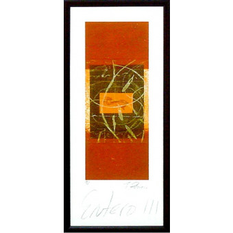 16745 ENTERO III - 12X28