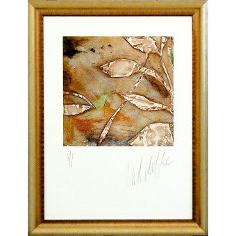 16750 QUADRA III - 22X30