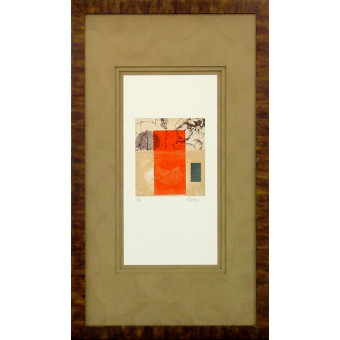 16794 INSPIRE II - 20X36