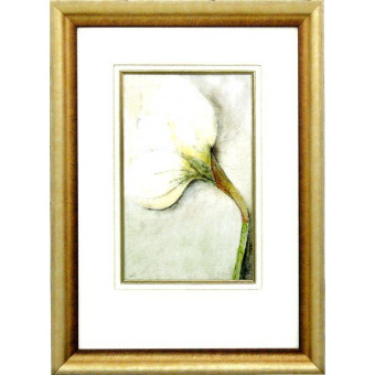 16918 PETAL SUITE I - 20X29