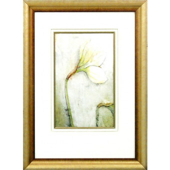 16919 PETAL SUITE II - 20X29