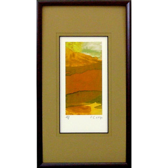 16929 LUSTRA II - 14X26