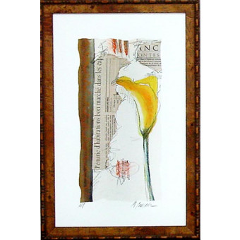 16988 DANIELI I - 16X26