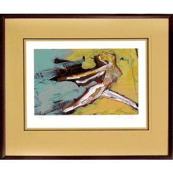 16996 INSPIRE I - 25X30