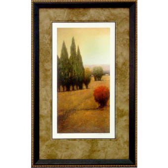 17389 SIMPLE GLENN II - 26X43