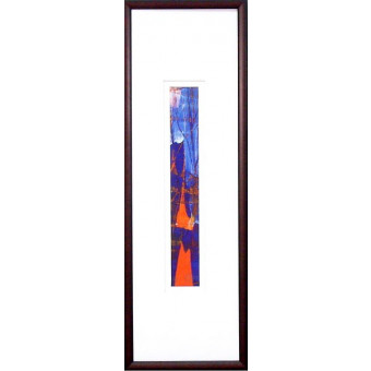 17491 SPECTRUM II - 9X29