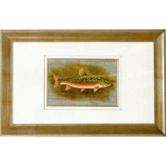 17501 BROWN TROUT - 14X24