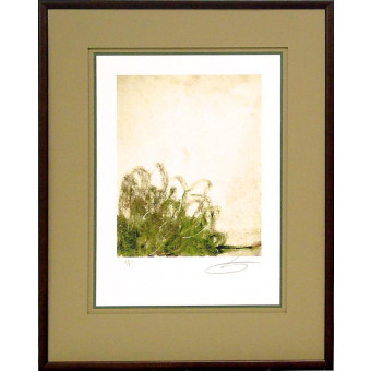 17624 PACHON I - 25X35