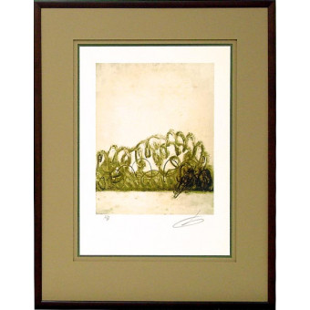 17625 PACHON II - 25X35
