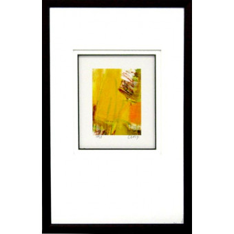 17883 EMBYA I - 14X23