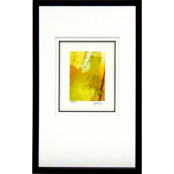 17884 EMBYA II - 14X23