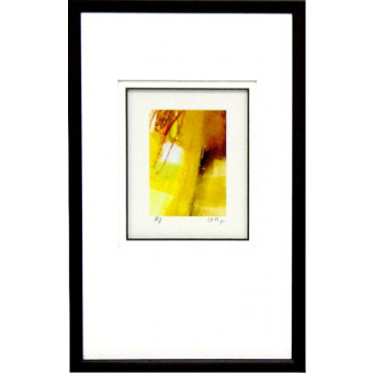 17886 EMBYA IV - 14X23