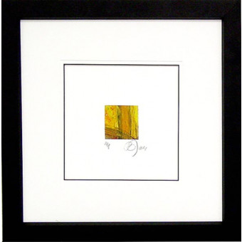 17891 LOUISA III - 30X30