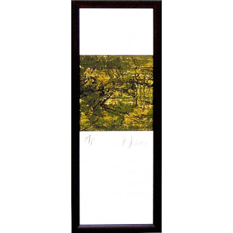17916 QUELLOR II - 7X25