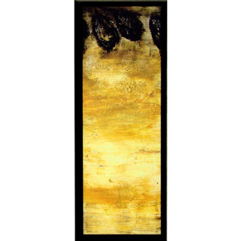 18047 SUENO III - 17X49