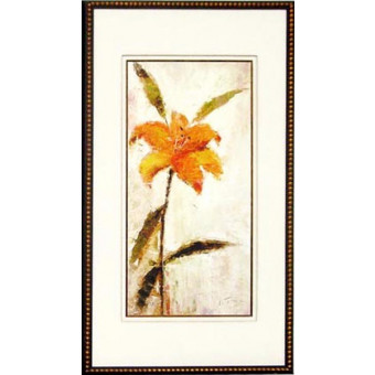 18142 COPPANS II - 23X42