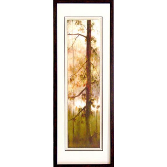 18146 CASCADE GOLD I - 20X60
