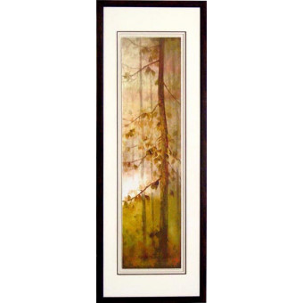 18147 CASCADE GOLD II - 20X60