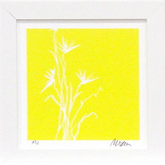 20128 YELLOW BOUTIQUE IV - 12X12