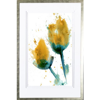 21542 PHOEBE I - 26X40