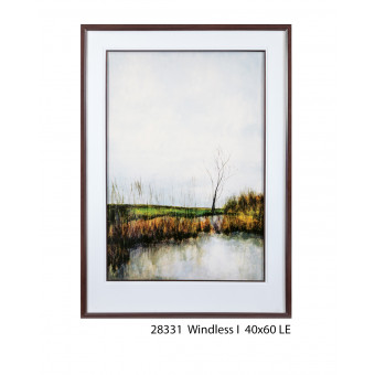 28331 WINDLESS I 