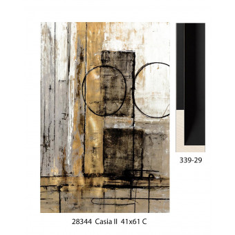 28344 CASIA II 