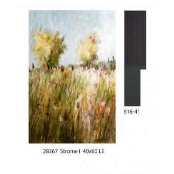 28367 STROME I 