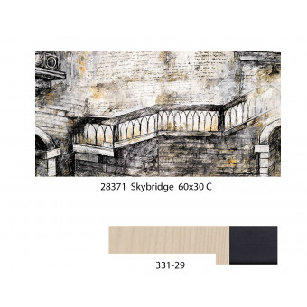 28371 SKYBRIDGE 