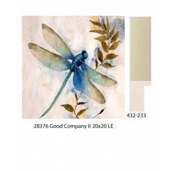 28376 GOOD COMPANY II 