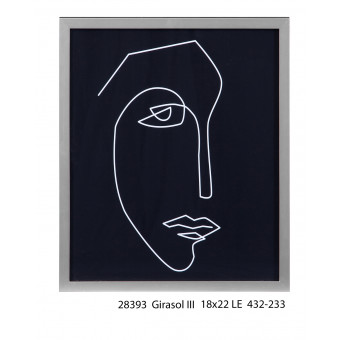 28393 GIRASOL III 