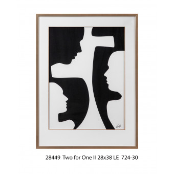 28449 TWO FOR ONE II 