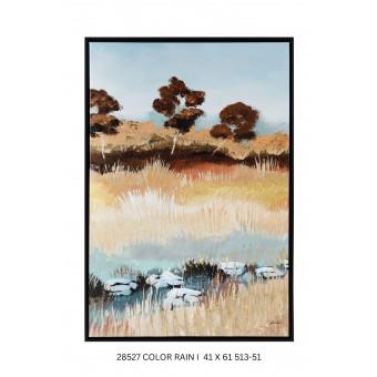 COLOR RAIN I 