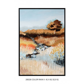 COLOR RAIN II 