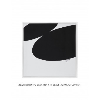 DOWN TO SAVANNAH III