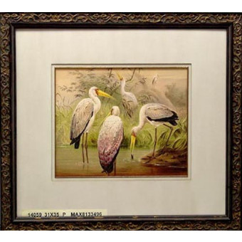 14059 THE AFRICAN WOOD IBIS - 31X35