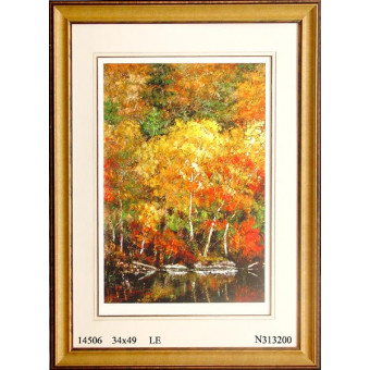 14506 FALL BRILLIANCE I - 34X49