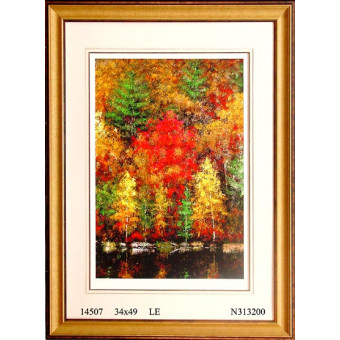 14507 FALL BRILLIANCE II - 34X49