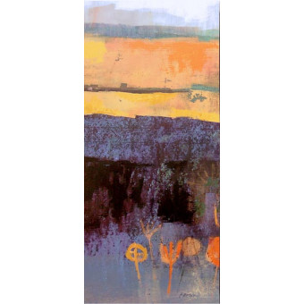 14630 PARSONS WAY III - 20X44