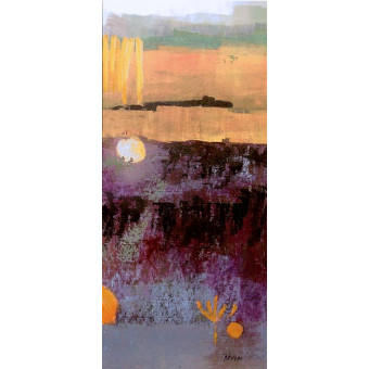 14631 PARSONS WAY IV - 20X44